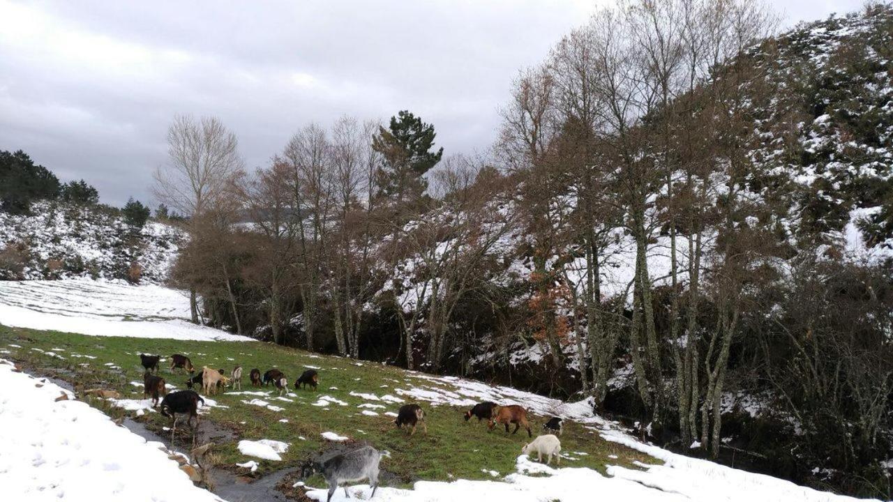 Terrasense Mountain Charm Retreat & Farm Leilighet Videmonte Eksteriør bilde